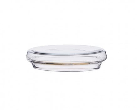 Glass Flat Lid